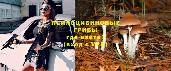 эйфоретик Богородск